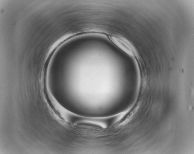 X0000082201149200701191436