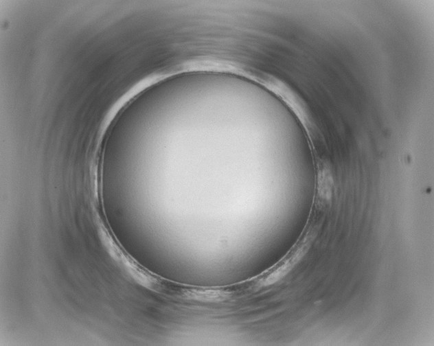 X0000082201150200701191436