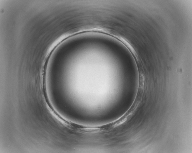 X0000082201151200701191436