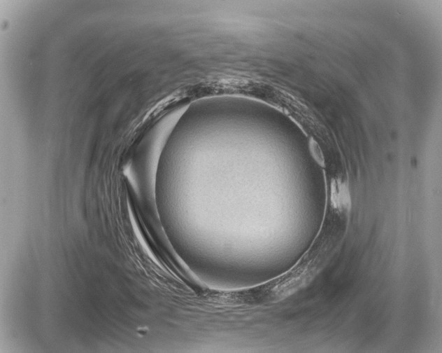 X0000082201155200701191435