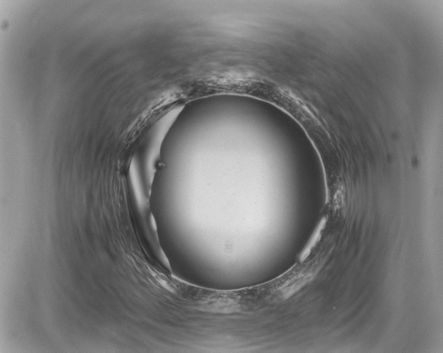 X0000082201156200701191435