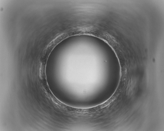 X0000082201158200701191435