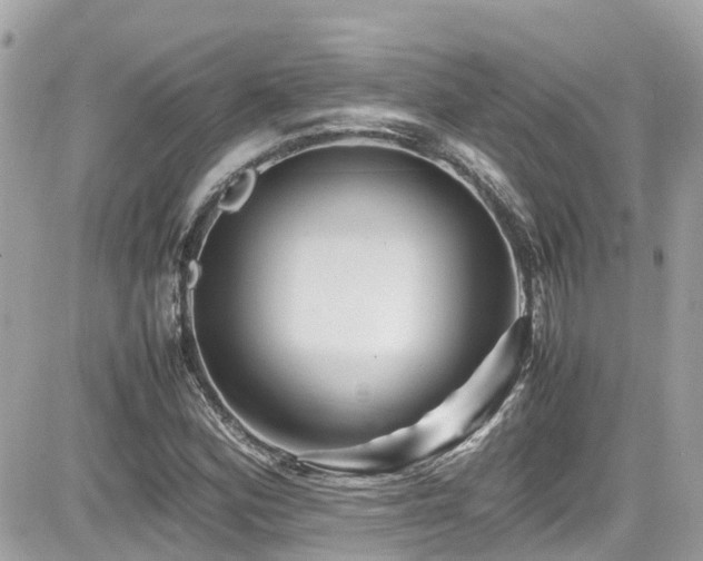 X0000082201164200701191435