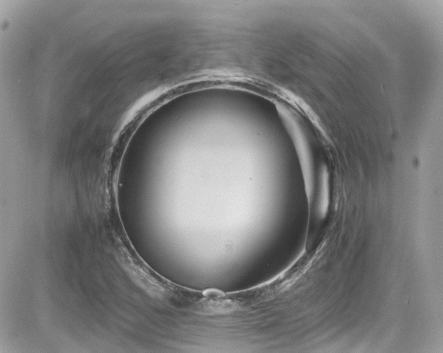 X0000082201168200701191435