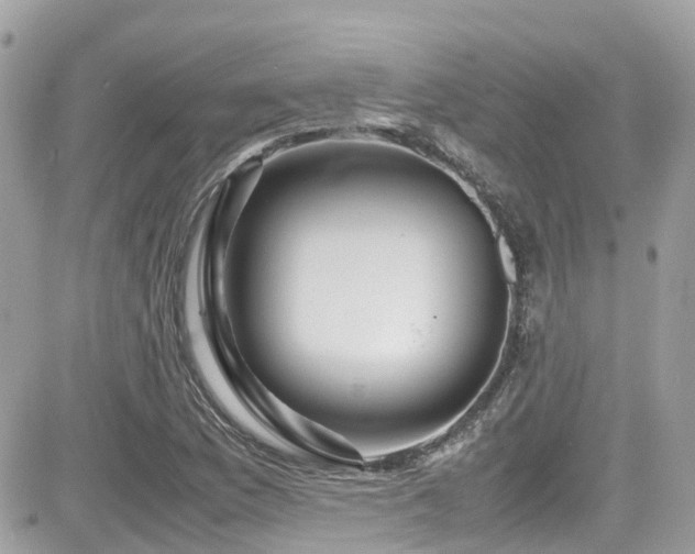 X0000082201169200701191435