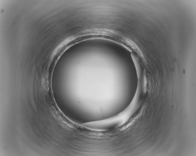 X0000082201172200701191435