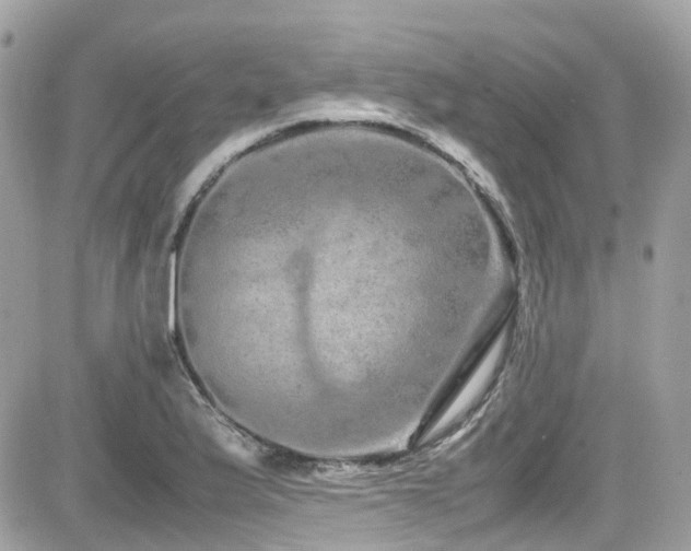 X0000082201175200701191435