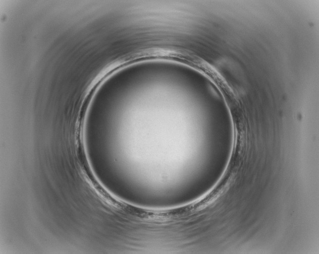 X0000082201178200701191434