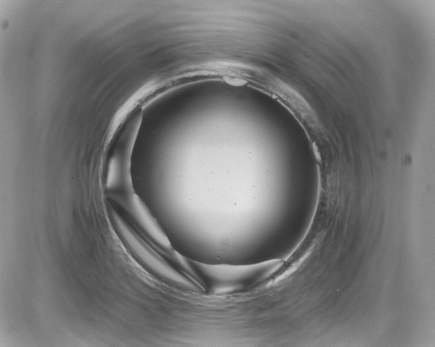 X0000082201180200701191434