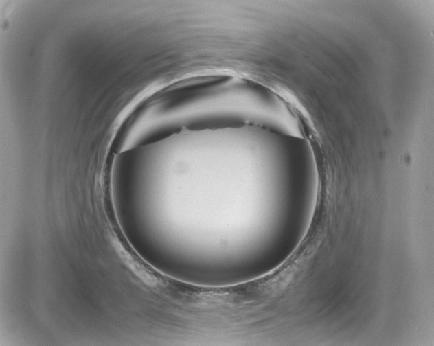 X0000082201181200701191434
