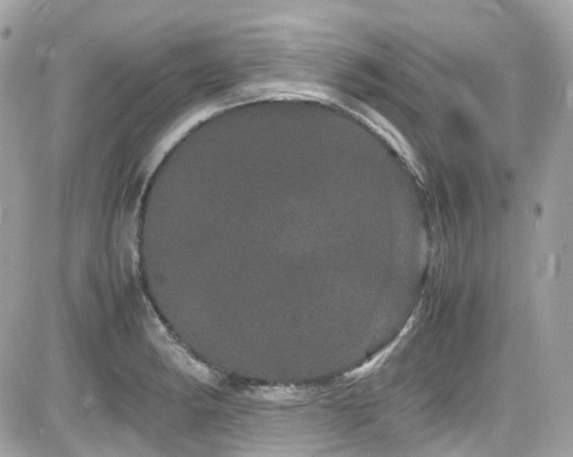 X0000082201182200701191434