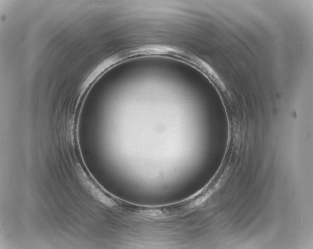 X0000082201186200701191434