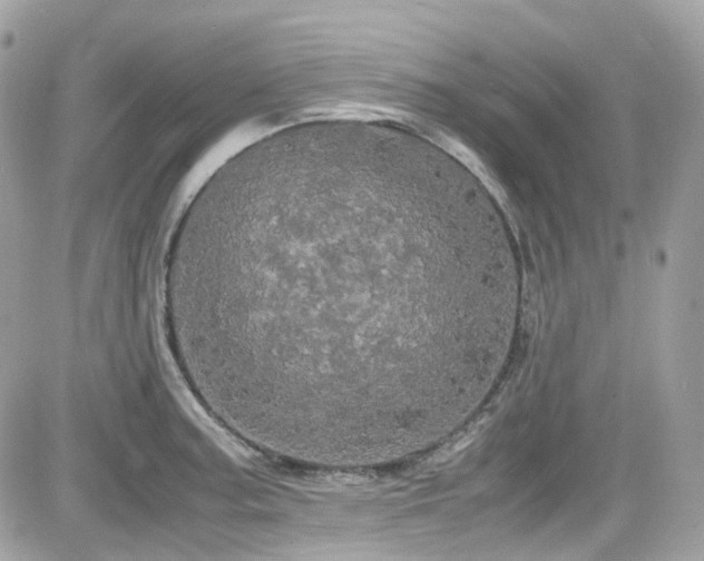 X0000082201187200701191434