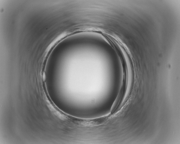 X0000082201189200701191434