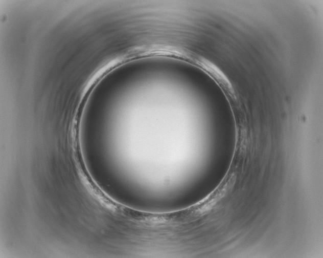 X0000082201190200701191434