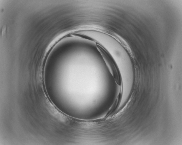 X0000082201192200701191434