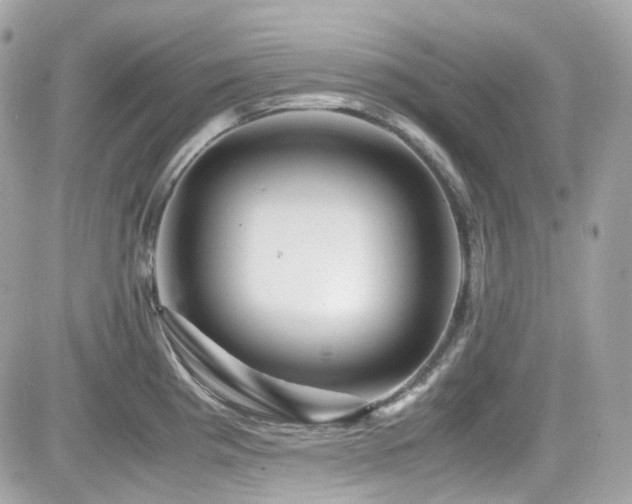 X0000082201193200701191434