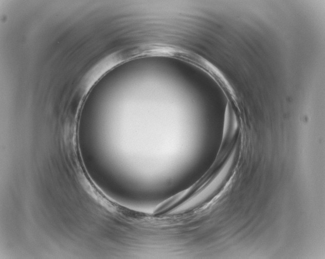 X0000082201194200701191434