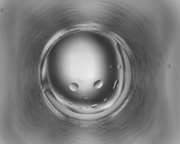 X0000082201196200701191434