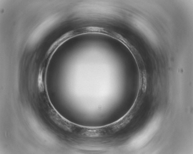 X0000082201198200701191434