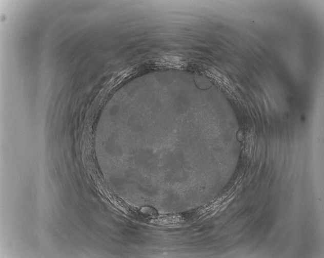 X0000082201201200701191433
