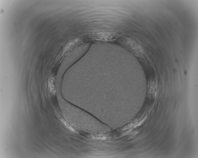 X0000082201202200701191433