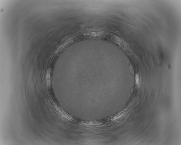 X0000082201203200701191433