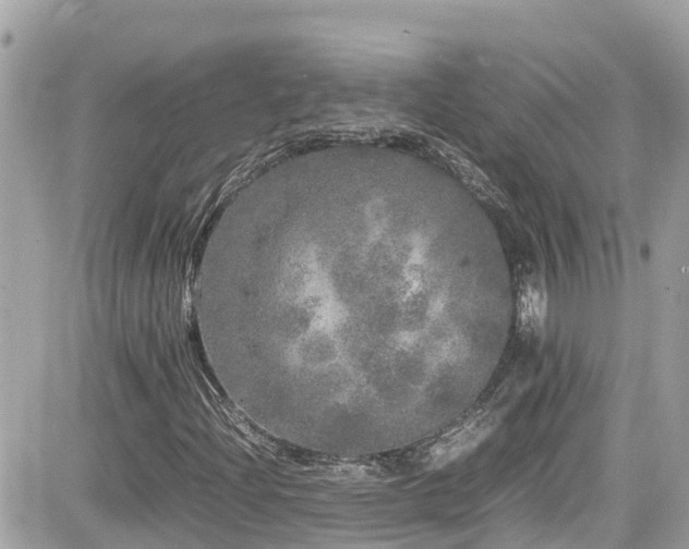 X0000082201204200701191433