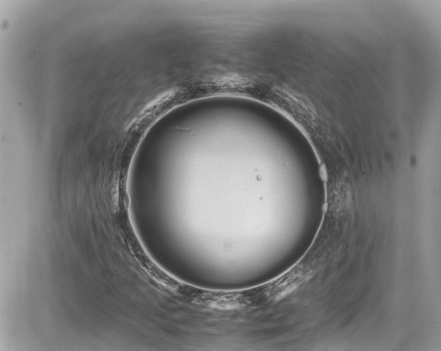 X0000082201205200701191433
