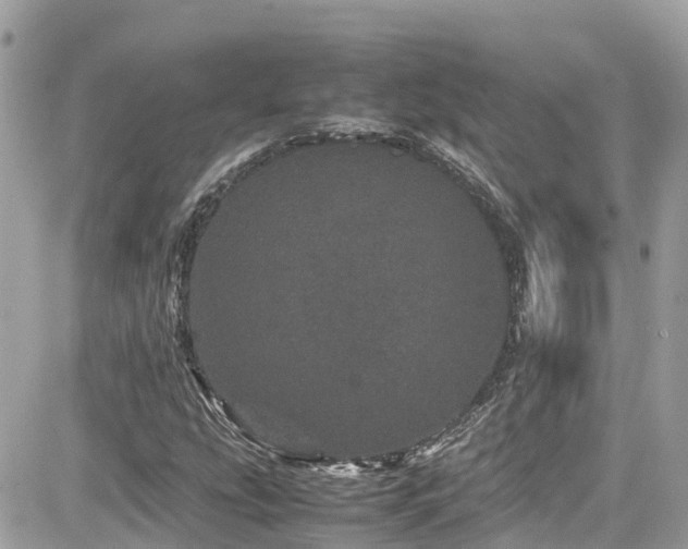 X0000082201207200701191433
