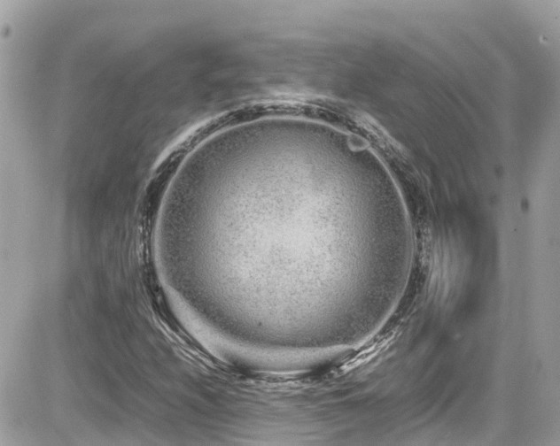 X0000082201208200701191433