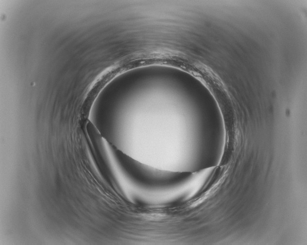 X0000082201210200701191433