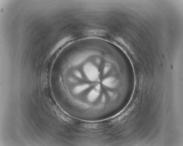 X0000082201211200701191433