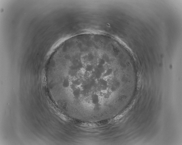 X0000082201215200701191434
