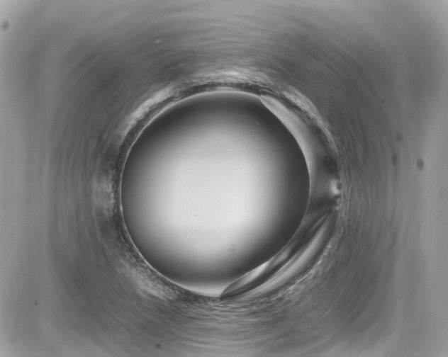 X0000082201218200701191434