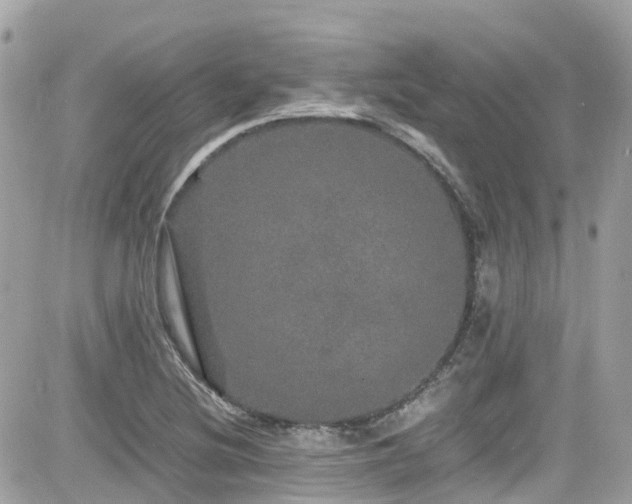X0000082201220200701191434