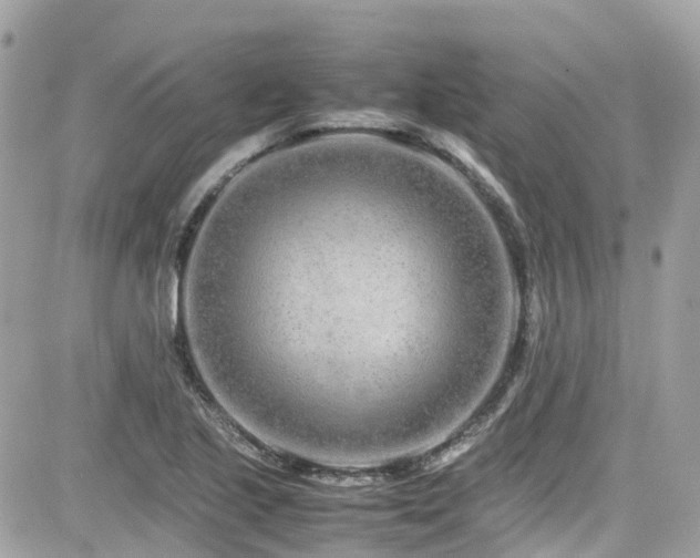 X0000082201221200701191434