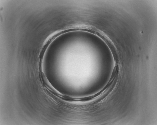 X0000082201222200701191434