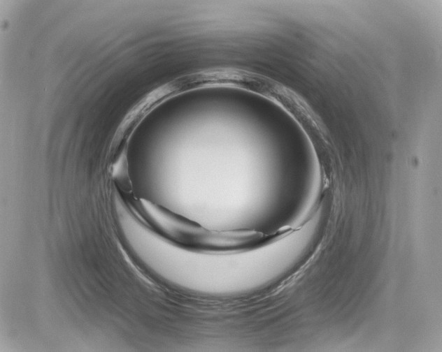 X0000082201225200701191434