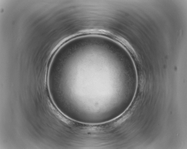 X0000082201228200701191434