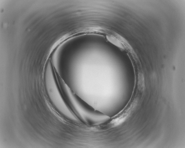 X0000082201234200701191434