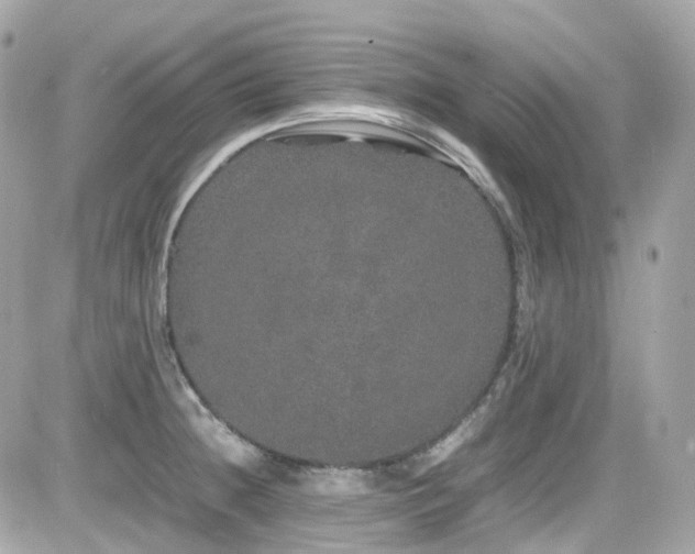 X0000082201236200701191434