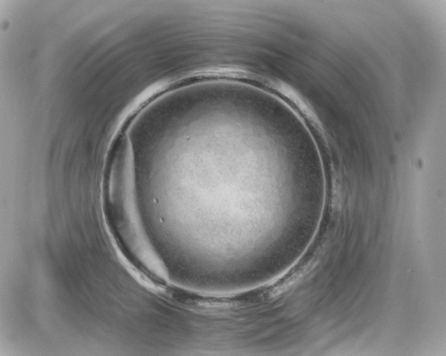 X0000082201237200701191434