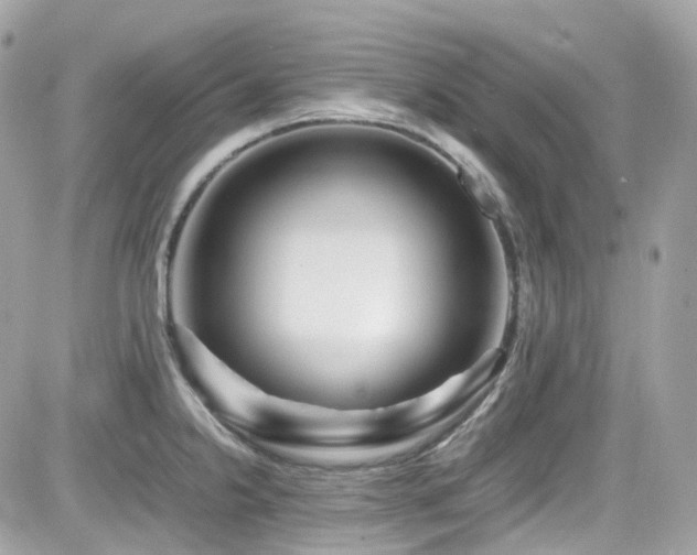 X0000082201238200701191434