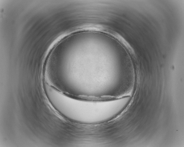 X0000082201240200701191434