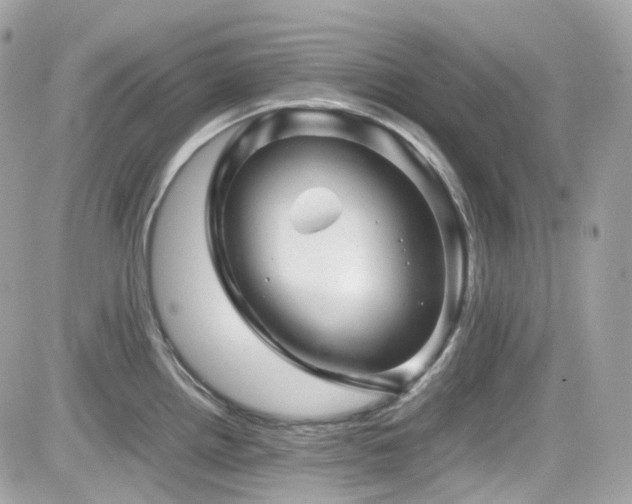 X0000082201242200701191434