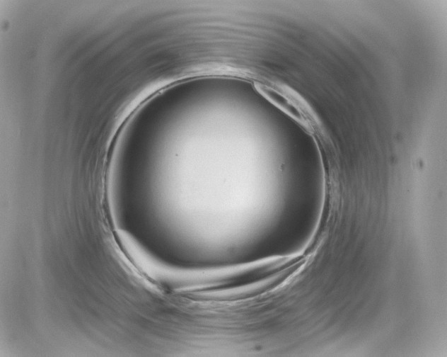 X0000082201244200701191434