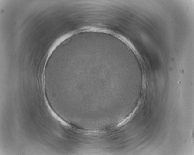 X0000082201247200701191434