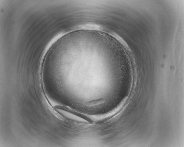 X0000082201248200701191434