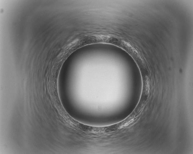 X0000082201249200701191433